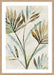 Leaf Shadows I Wall Art