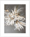 Light Leaves I Wall Art
