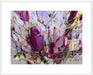 Magnolia Blossoms Wall Art