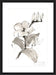 Magnolia II Wall Art
