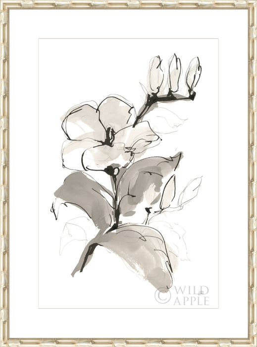 Magnolia II Wall Art