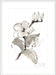 Magnolia II Wall Art