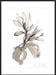 Magnolia I Wall Art