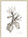 Magnolia I Wall Art