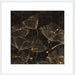 Midnight Blossoms II Wall Art