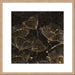 Midnight Blossoms II Wall Art