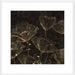 Midnight Blossoms I Wall Art