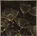 Midnight Blossoms I Wall Art