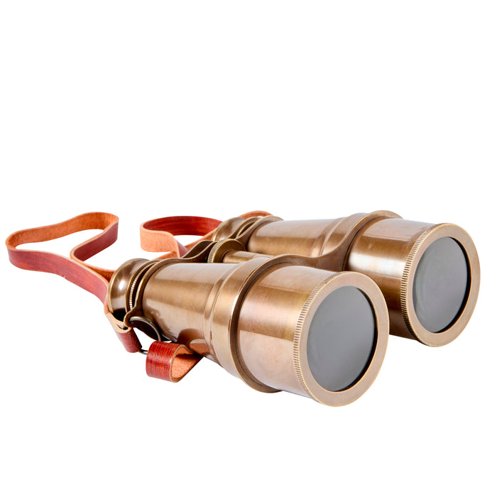 Bronzed Binoculars