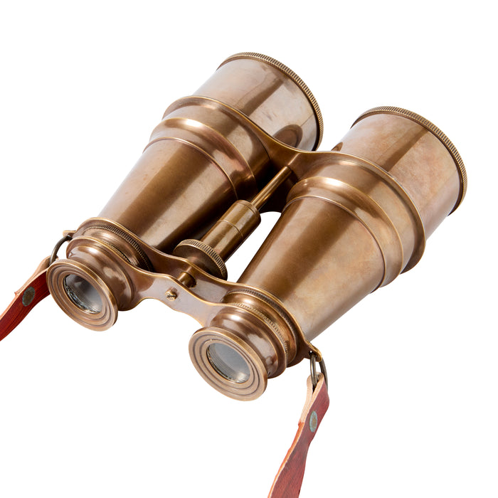 Bronzed Binoculars