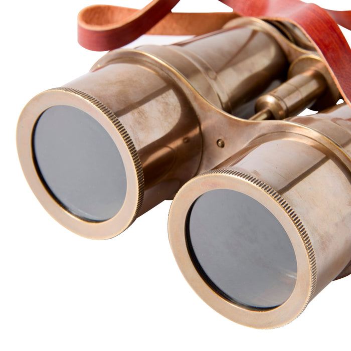 Bronzed Binoculars
