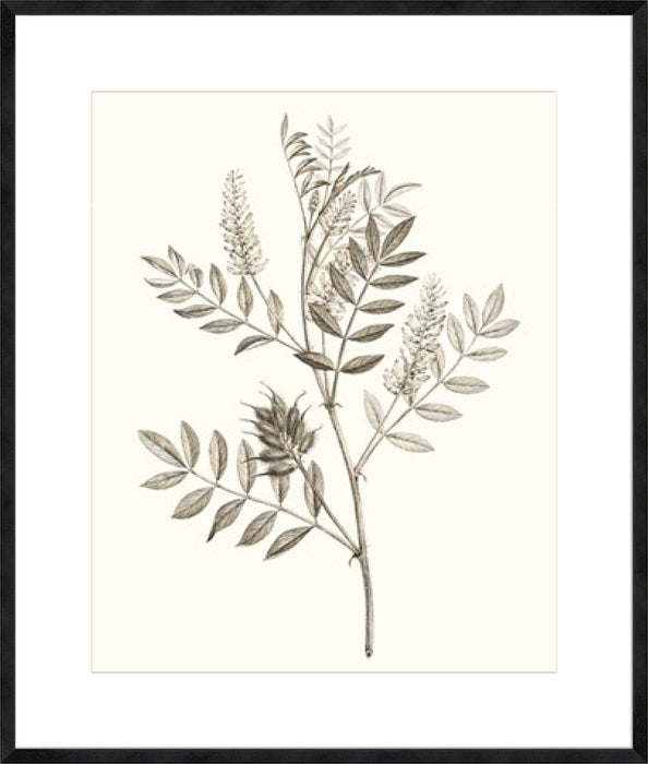 Neutral Botanical Study III Wall Art