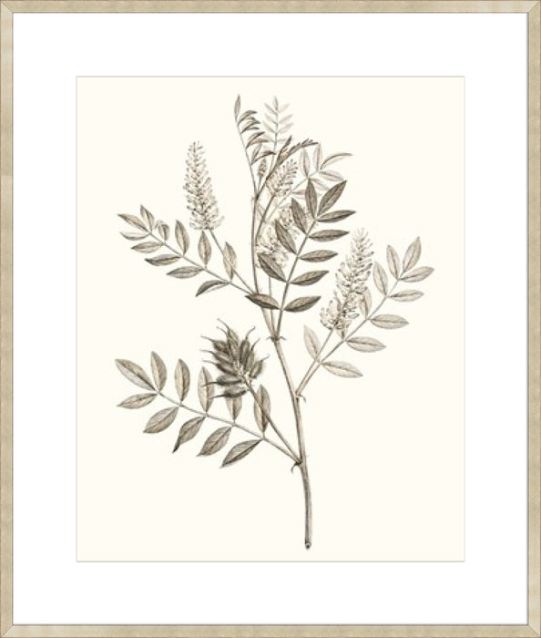 Neutral Botanical Study III Wall Art