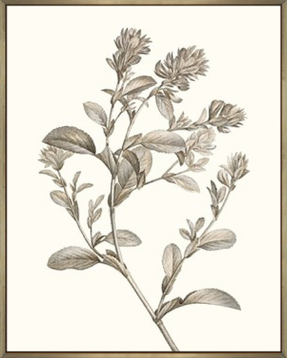 Neutral Botanical Study II Wall Art