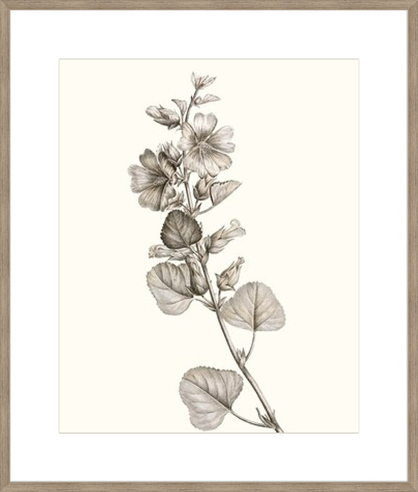 Neutral Botanical Study I Wall Art