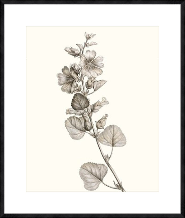 Neutral Botanical Study I Wall Art