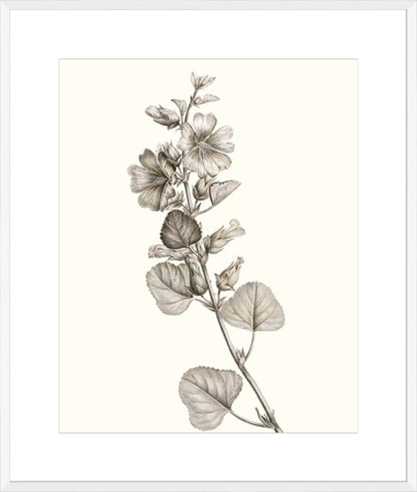 Neutral Botanical Study I Wall Art