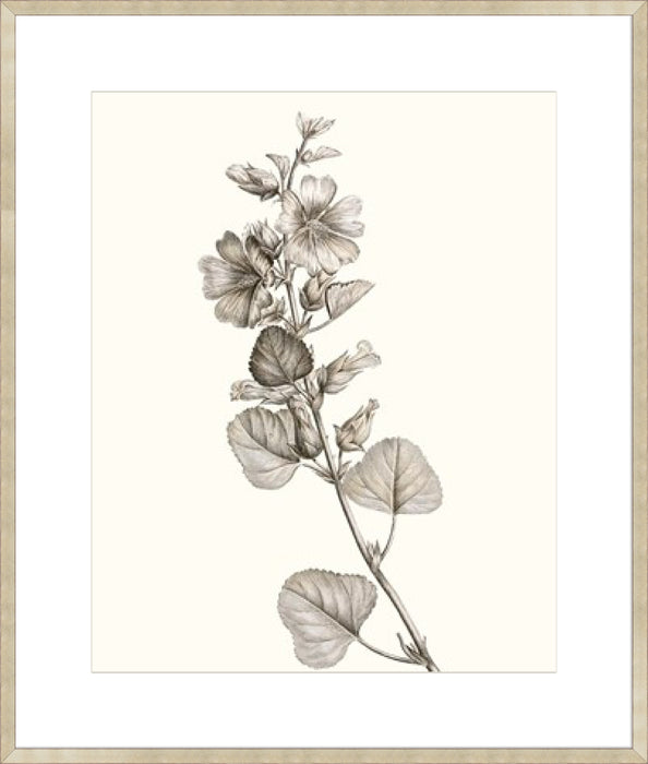 Neutral Botanical Study I Wall Art