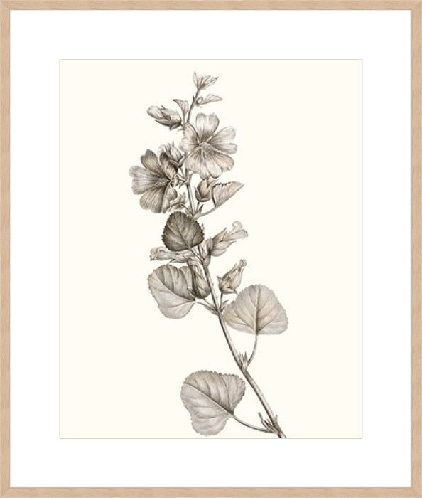 Neutral Botanical Study I Wall Art