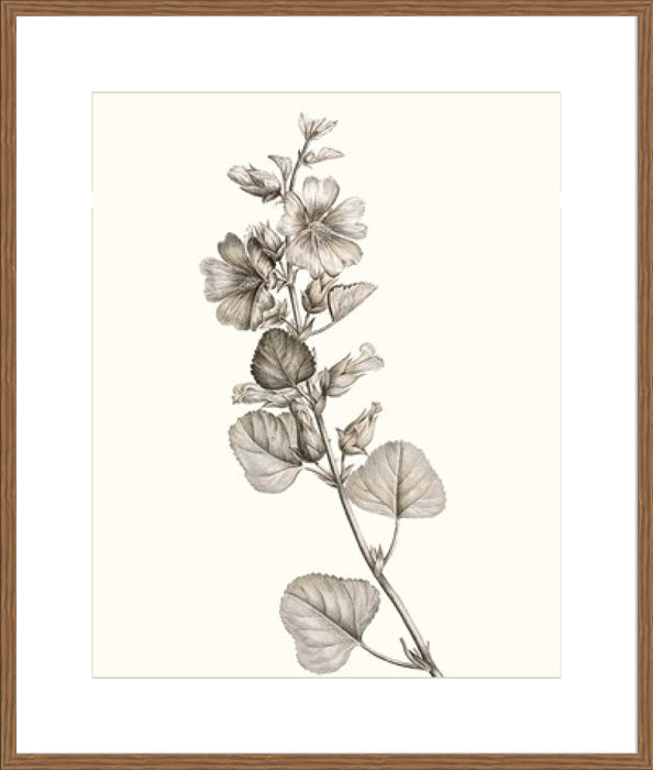 Neutral Botanical Study I Wall Art