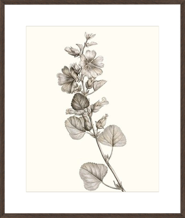 Neutral Botanical Study I Wall Art