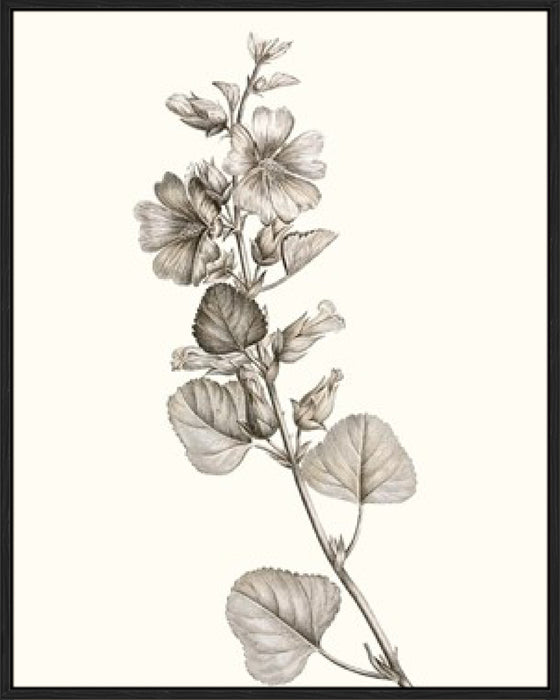 Neutral Botanical Study I Wall Art