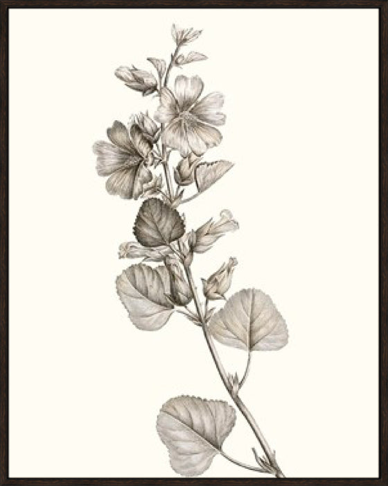Neutral Botanical Study I Wall Art