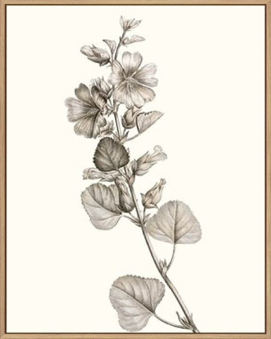 Neutral Botanical Study I Wall Art