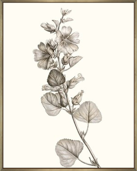 Neutral Botanical Study I Wall Art