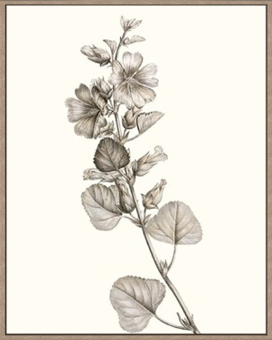 Neutral Botanical Study I Wall Art