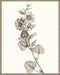 Neutral Botanical Study I Wall Art