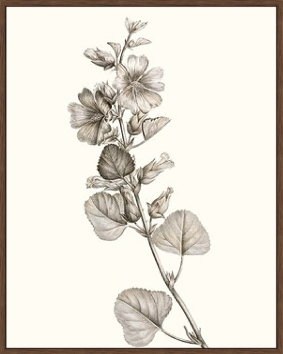 Neutral Botanical Study I Wall Art