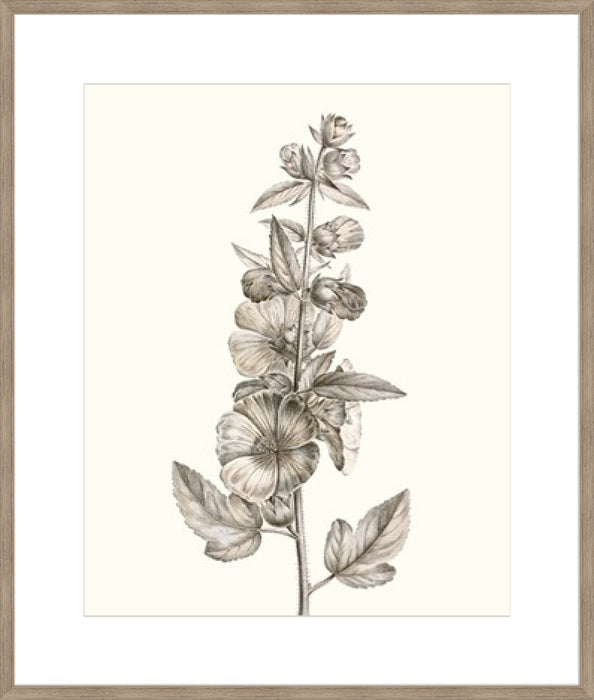 Neutral Botanical Study V Wall Art