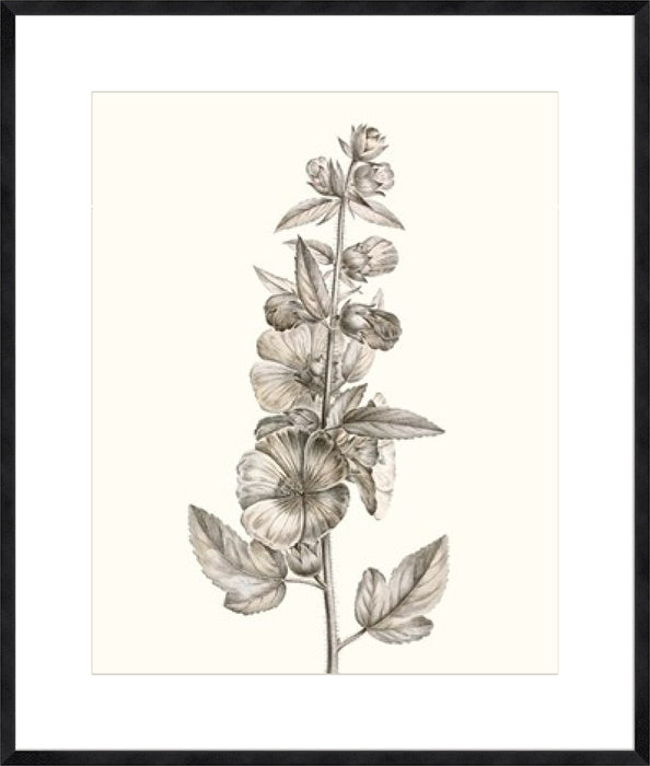 Neutral Botanical Study V Wall Art