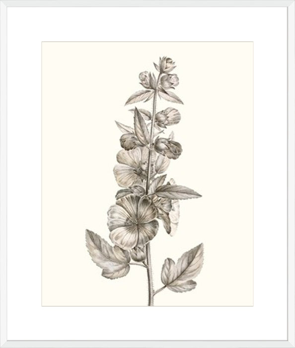 Neutral Botanical Study V Wall Art