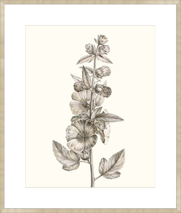 Neutral Botanical Study V Wall Art