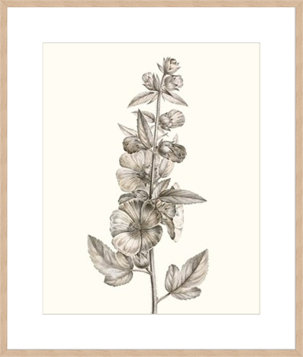 Neutral Botanical Study V Wall Art