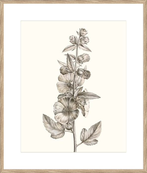 Neutral Botanical Study V Wall Art
