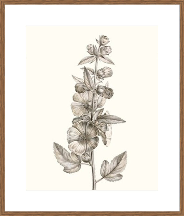 Neutral Botanical Study V Wall Art