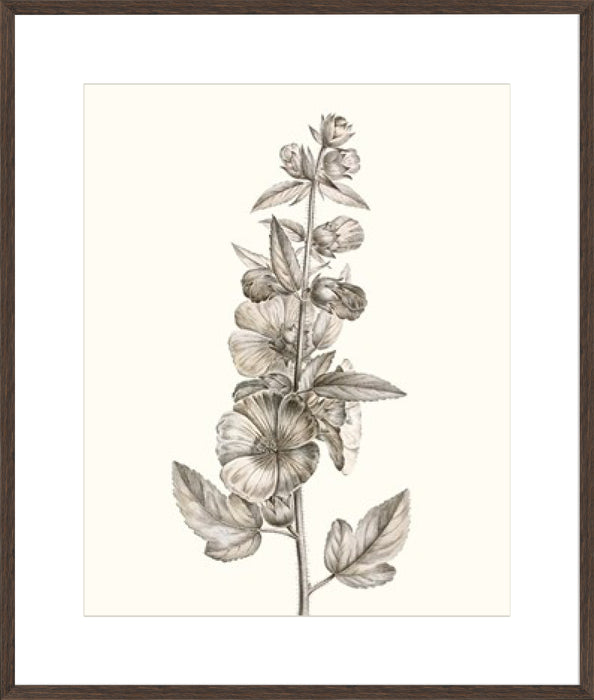 Neutral Botanical Study V Wall Art
