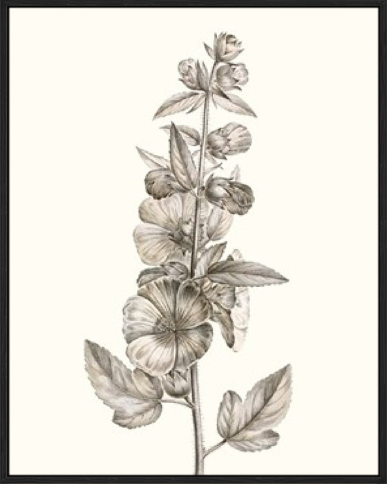 Neutral Botanical Study V Wall Art