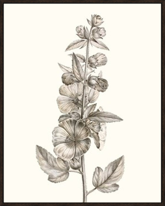 Neutral Botanical Study V Wall Art