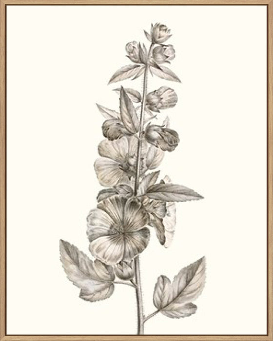 Neutral Botanical Study V Wall Art