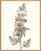 Neutral Botanical Study V Wall Art