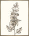 Neutral Botanical Study V Wall Art