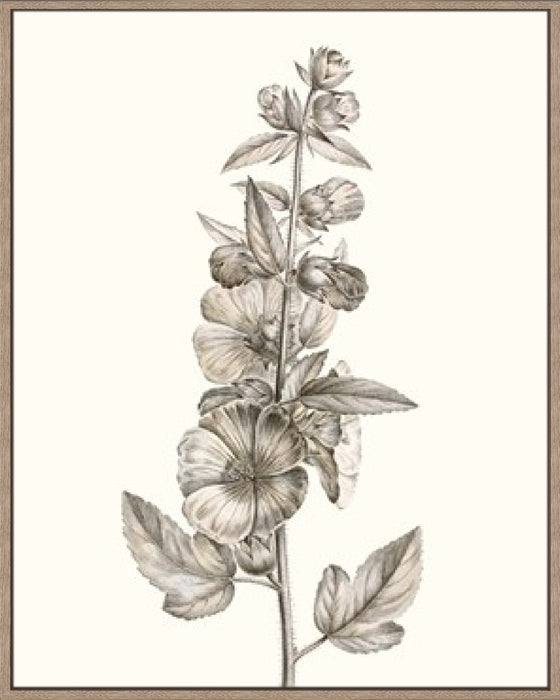 Neutral Botanical Study V Wall Art