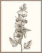 Neutral Botanical Study V Wall Art
