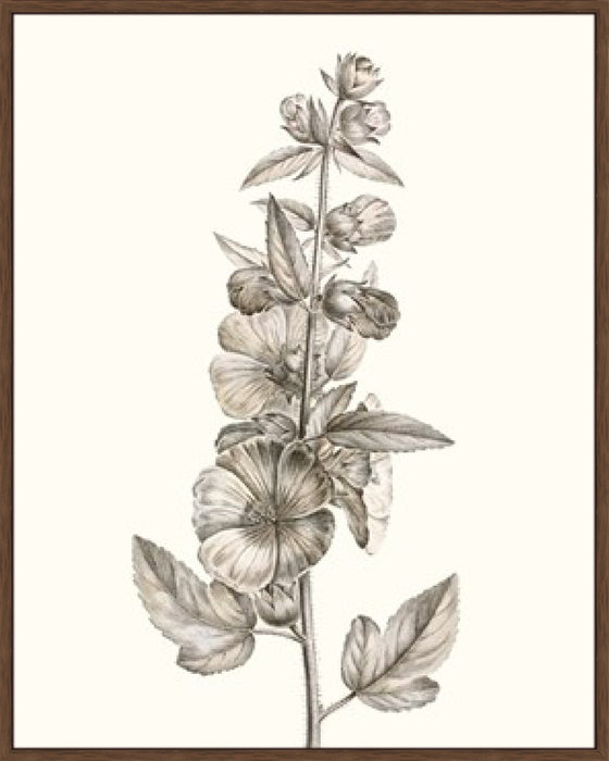 Neutral Botanical Study V Wall Art