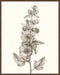 Neutral Botanical Study V Wall Art