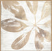 Neutral Palm Fossil III Wall Art